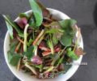 一元钱的时令小菜——凉拌侧耳根的做法步骤：4