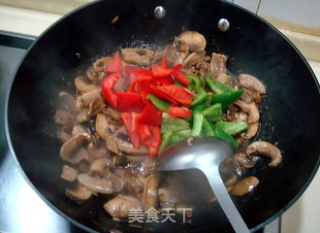 家常菜“肉片炒鲜蘑”的做法步骤：10