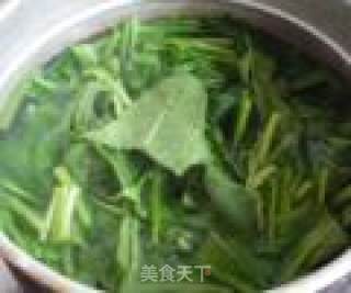 粉丝菠菜的做法步骤：5