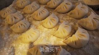 韭菜肉水饺的做法步骤：11