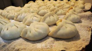 韭菜肉水饺的做法步骤：12