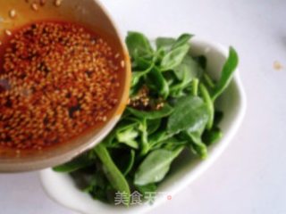 凉拌穿心莲的做法步骤：7