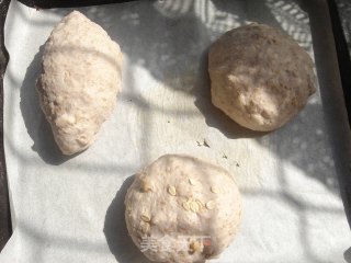 全麦核桃包的做法步骤：5