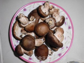 春天的盛宴——银鱼煨苦菊的做法步骤：2