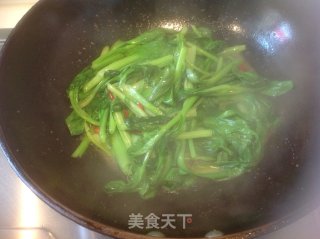 清炒菜心的做法步骤：5