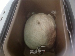 全麦果仁面包的做法步骤：6