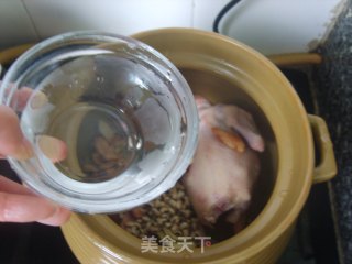 【平补老火靓汤——春天篇】土伏苓眉豆煲白鸽的做法步骤：4