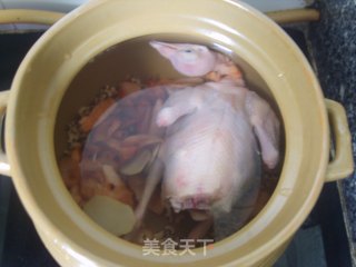 【平补老火靓汤——春天篇】土伏苓眉豆煲白鸽的做法步骤：5