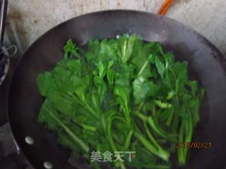 白灼菜心的做法步骤：4