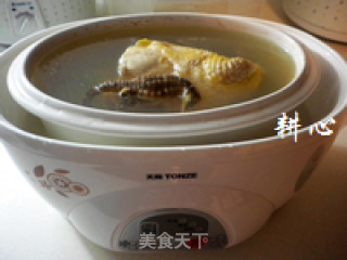 鲍鱼海马鸡汤的做法步骤：8