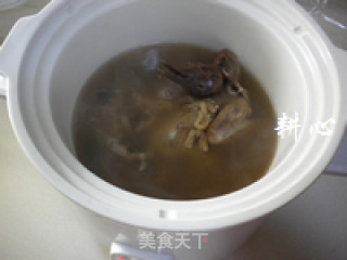 灵芝花胶煲斑鸠的做法步骤：6