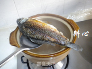 苹果炖鱼汤的做法步骤：6
