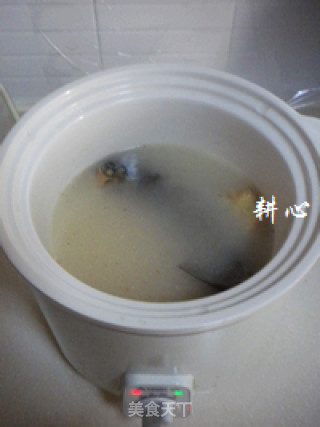苹果炖鱼汤的做法步骤：11