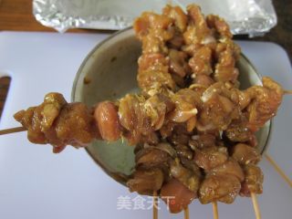 【提卡鸡】##【Chicken Tikka】的做法步骤：8