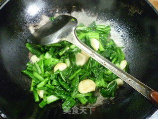 蒜头油菜蕻的做法步骤：9