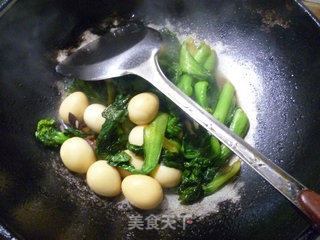 鹌鹑蛋烧菜芯的做法步骤：10