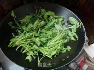 腐乳炒萝卜苗的做法步骤：7