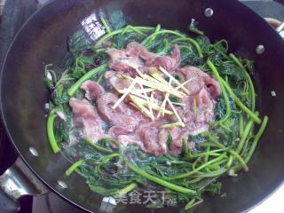 肉丝红苋菜的做法步骤：9