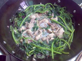 肉丝红苋菜的做法步骤：10