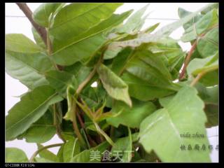 香椿炒鸡蛋的做法步骤：1