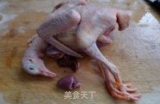 女人保养秘籍----〖田七炖乳鸽〗的做法步骤：1