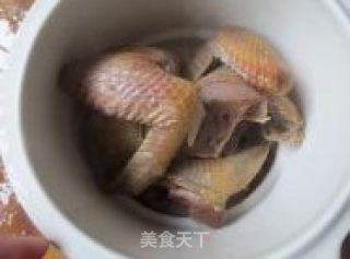 女人保养秘籍----〖田七炖乳鸽〗的做法步骤：4