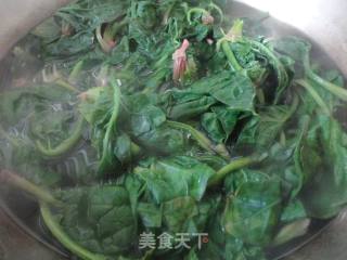 【菠菜拌粉皮】的做法步骤：2