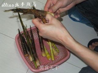 山林野味 平菇炒野笋的做法步骤：2