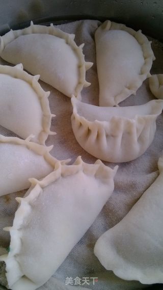 烫面蒸饺的做法步骤：12