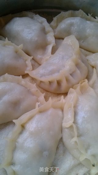 烫面蒸饺的做法步骤：13