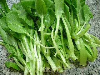千张炒鸡毛菜的做法步骤：1