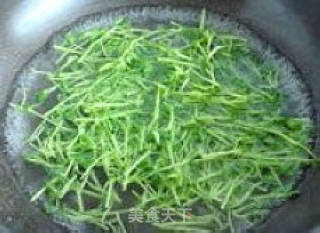 “立夏之季”   抗病佰草集--------〖活捉豌豆苗〗的做法步骤：2
