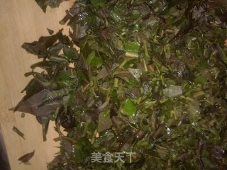 香椿鱼儿的做法步骤：2