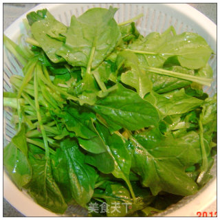 青叶碧玉*晶莹剔透-----水晶菠菜冻的做法步骤：5
