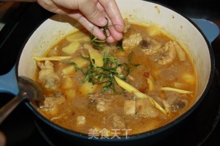 娘惹味香茅咖喱鸡的做法步骤：10