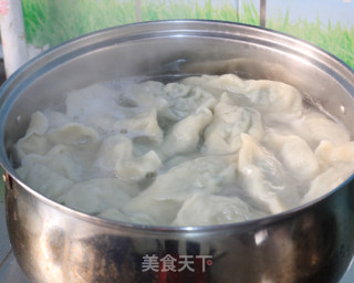 【浓醇高汤让味道更鲜】---荠菜饺子的做法步骤：15
