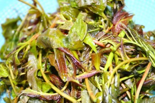 春季美味的香椿炒鸡蛋的做法步骤：1