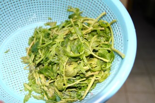 春季美味的香椿炒鸡蛋的做法步骤：2
