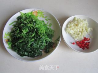 蒜蓉萝卜秧的做法步骤：3