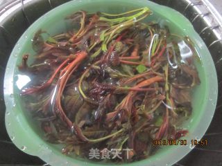 腌制香椿芽的做法步骤：1
