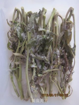 腌制香椿芽的做法步骤：4