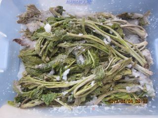 腌制香椿芽的做法步骤：5