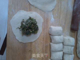 猪肉茴香菜包子！~~~~~的做法步骤：12