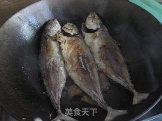 鲅鱼炖粉条的做法步骤：6