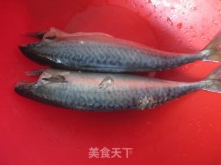 啤酒鲅鱼炖茄子的做法步骤：1
