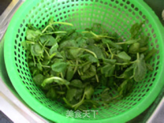 【上汤豆苗】的做法步骤：1
