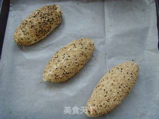越嚼越香---芝麻小法包的做法步骤：7