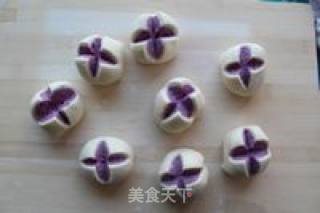 紫薯开花馒头的做法步骤：10