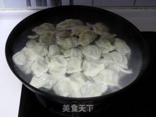 韭菜海米猪肉水饺的做法步骤：14