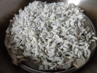 【蒸槐花】的做法步骤：5